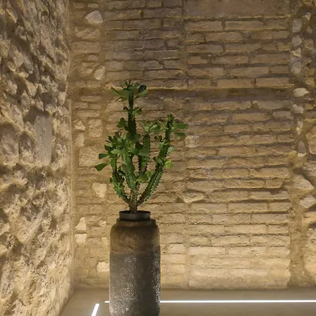 Almatros Design Peonia In Palazzo Storico Appartement Sulmona